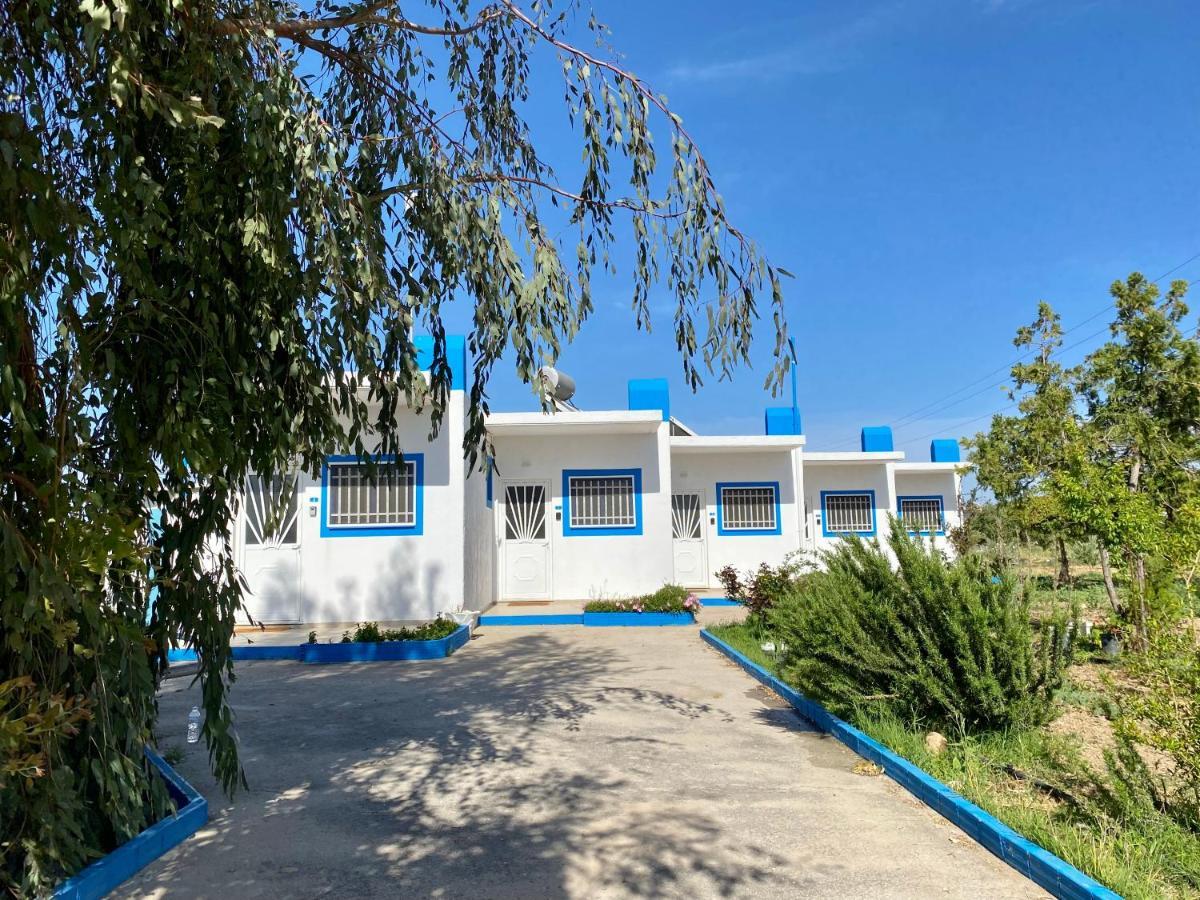 Elgreco Apartment, At Tigaki, Near The Sea "3" Экстерьер фото